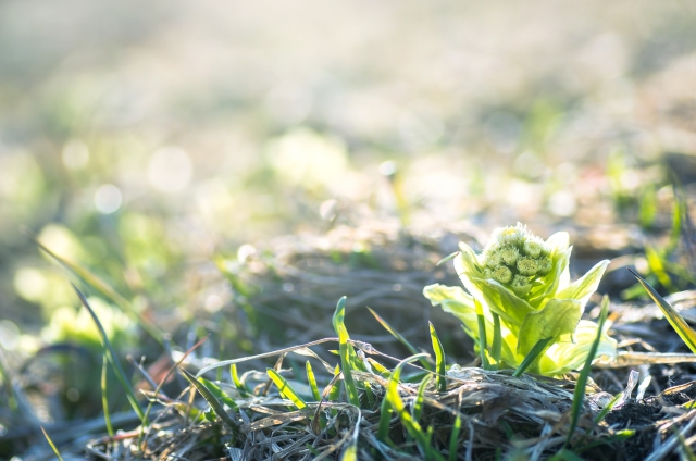 7fcbc6530363d4e5c35b0f2dd896c43d_s